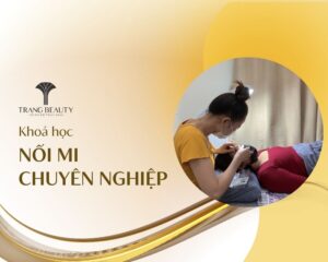 học nối mi