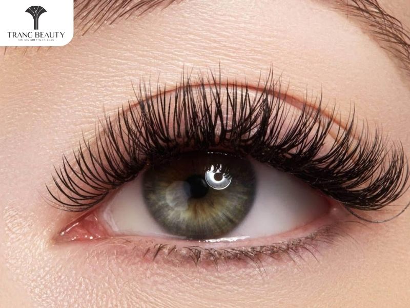 Nối mi thiên thần đẹp tự nhiên, giúp đôi mắt long lanh