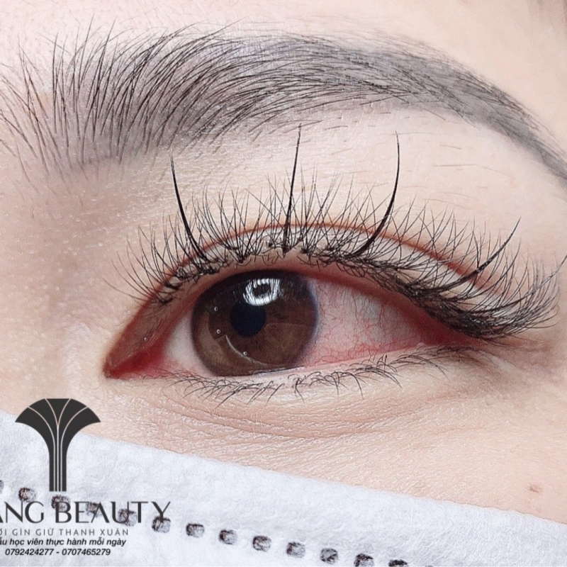 Học nối mi không khó nếu bạn có sự tỉ mỉ, chăm chỉ và cẩn thận