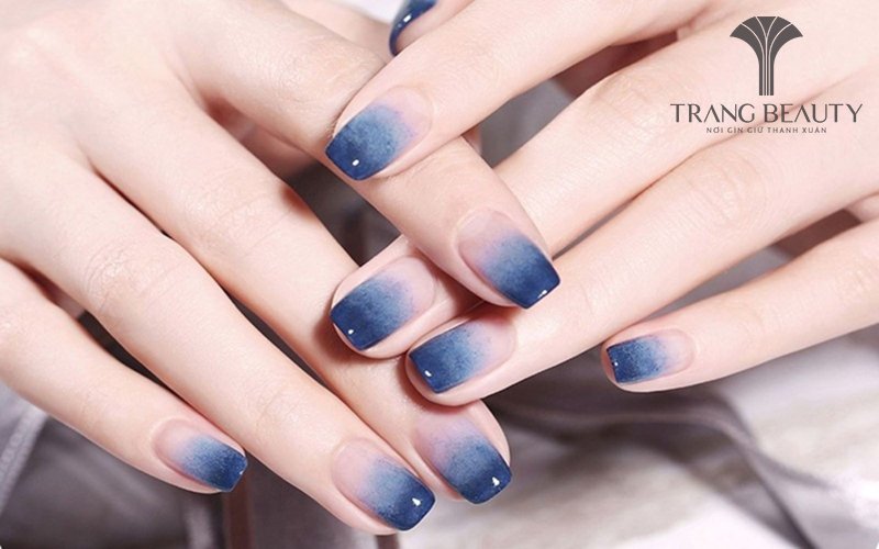 Màu sắc đa dạng và phong phú thu hút ánh nhìn