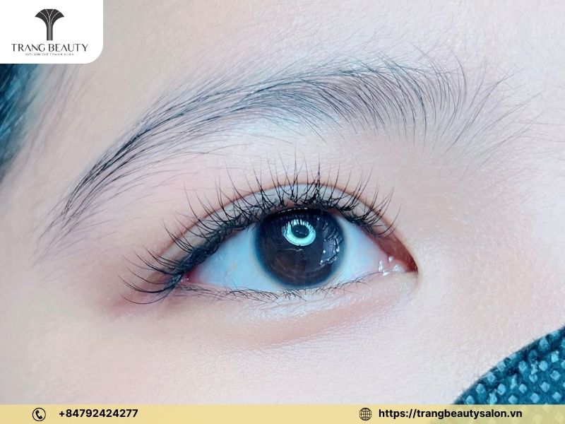 Hướng Dẫn Nối Mi Lụa Đẹp Tự Nhiên, Bền Lâu Chuẩn Salon 8 Mẫu nối mi lụa tại Trang Beauty