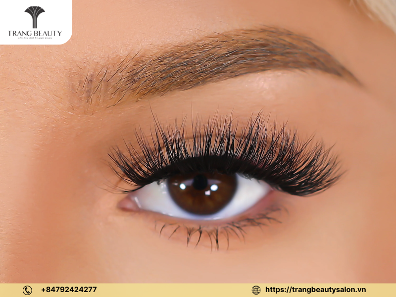 Khám phá 10+ trung tâm đào tạo nối mi chuẩn quốc tế uy tín nhất 5 Hani Lash & Brow thường xuyên cập nhật xu hướng và công nghệ nối mi mới nhất